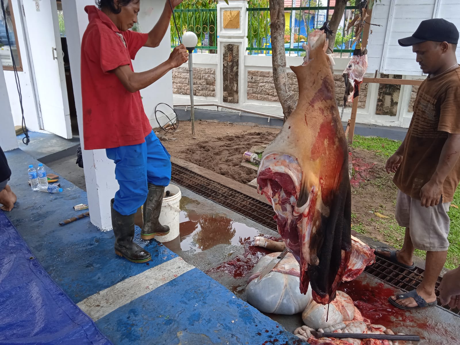 4.Penimbangan Daging